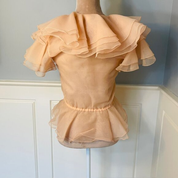 Vintage Ethereal Organza Tiered Ruffle Collar Sheer Blouse Flutter Sleeve XS/S - Picture 5 of 8